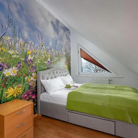 With A View Of The Bay By Renters *